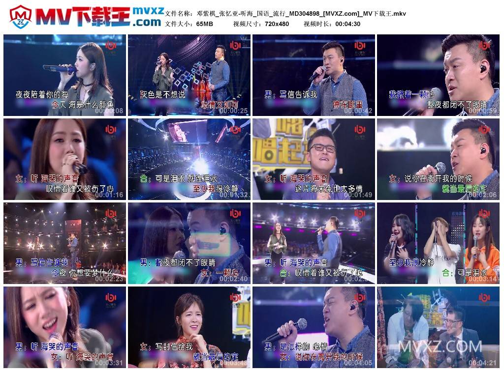 邓紫棋_张忆亚-听海_国语_流行_MD304898